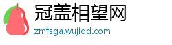 冠盖相望网